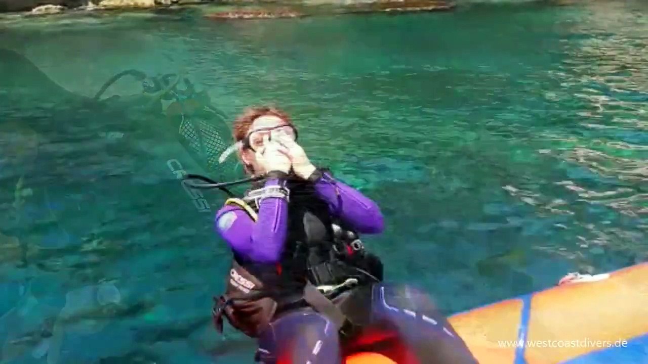 West Coast Divers Mallorca 2017