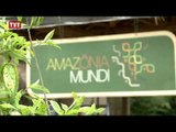 Exposição Amazônia Mundi traz floresta amazônica para São Paulo
