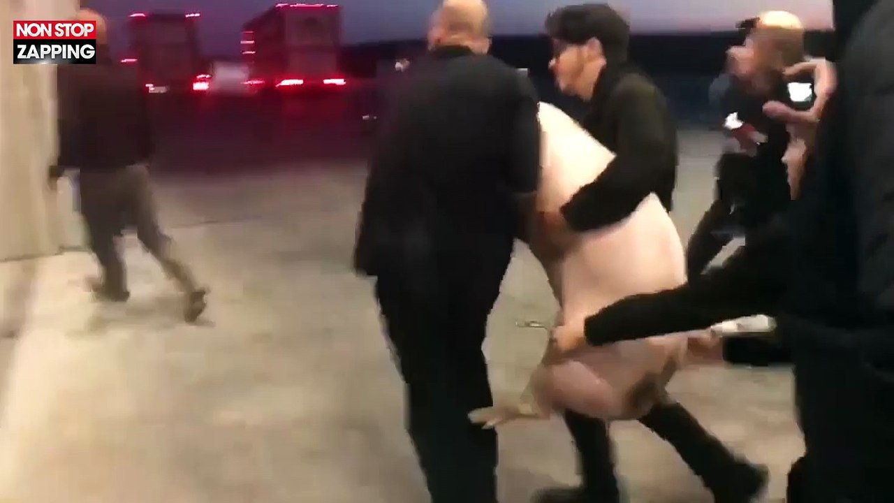 Belgique : Intervention musclée d'activistes animaliers dans un abattoir (Vidéo)
