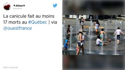 Canada. La canicule fait au moins 19 morts au Québec.
