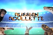 RUSSIAN ROULLETTE: ENGLAND PREDICTED TO WIN