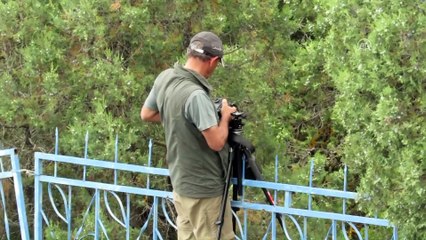 Leylekler Vadisi'nde yavrular büyük göçe hazırlanıyor - KONYA