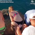 Genç kadın beslediği köpek balıklarının saldırısına uğradı