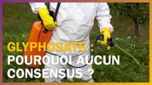 Glyphosate : pourquoi personne n’est d’accord ?