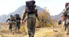 Almanya, YPG'nin Terör Örgütü Olduğunu Kabul Etti