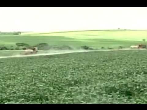 Seminário promovido pelo MST - Rede TVT