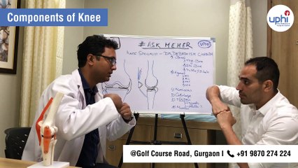 What are the components of knee?