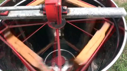 Ordulu arıcılar bal hasadına başladı - ORDU