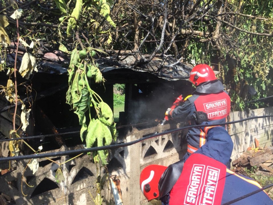 Pire İçin Kümes Yaktı: Kümes de Barakayı