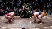 豪風 vs 千代の国 2018年大相撲夏場所9日目 20180521