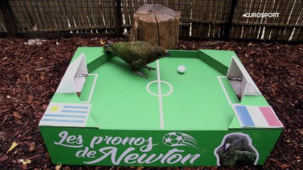 Le prono de Newton : entre la France et l'Uruguay, qui verra le dernier carré ?