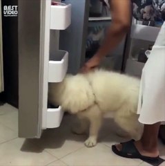 К чёрту это ваше лето...