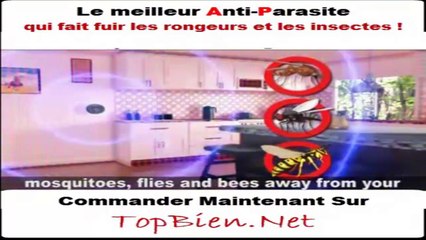 L'Anti-Parasite Parfait pour une maison sans nuisibles