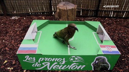 Le prono de Newton : stop ou encore pour la Russie face à la Croatie ?