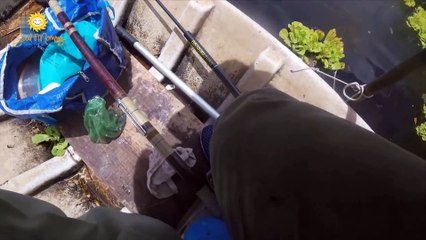 Thú Vui Chèo Xuồng Vào Rừng U Minh Săn Cá Đồng Thiên Nhiên