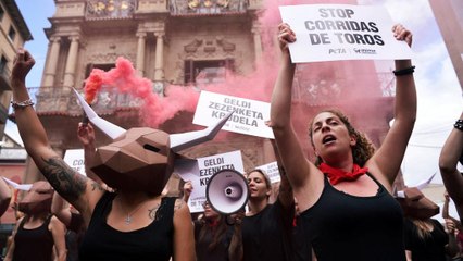 Protestas contra las corridas de toros en Sanfermines