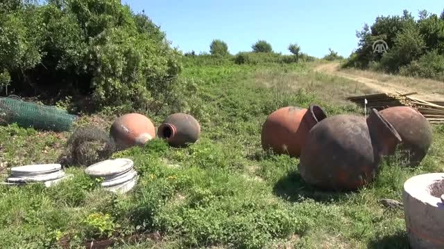 Tieion Antik Kenti'ndeki Kazı Çalışmaları Başladı