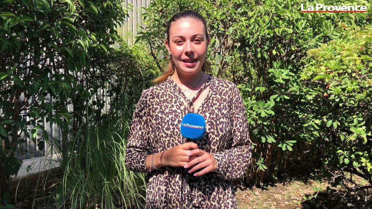 Delta festival sur les plages du Prado, les Fiestas du Petit Pavillon..."On bouge où ce week-end ?"