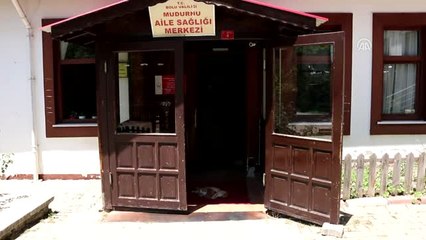 Sokak Kedisi ve Yavrularının Yeni Evi Sağlık Merkezi Oldu