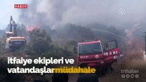 Bodrum'da otluk ve makilik alanda yangın