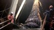 Sea lion caught by a fishing trawler