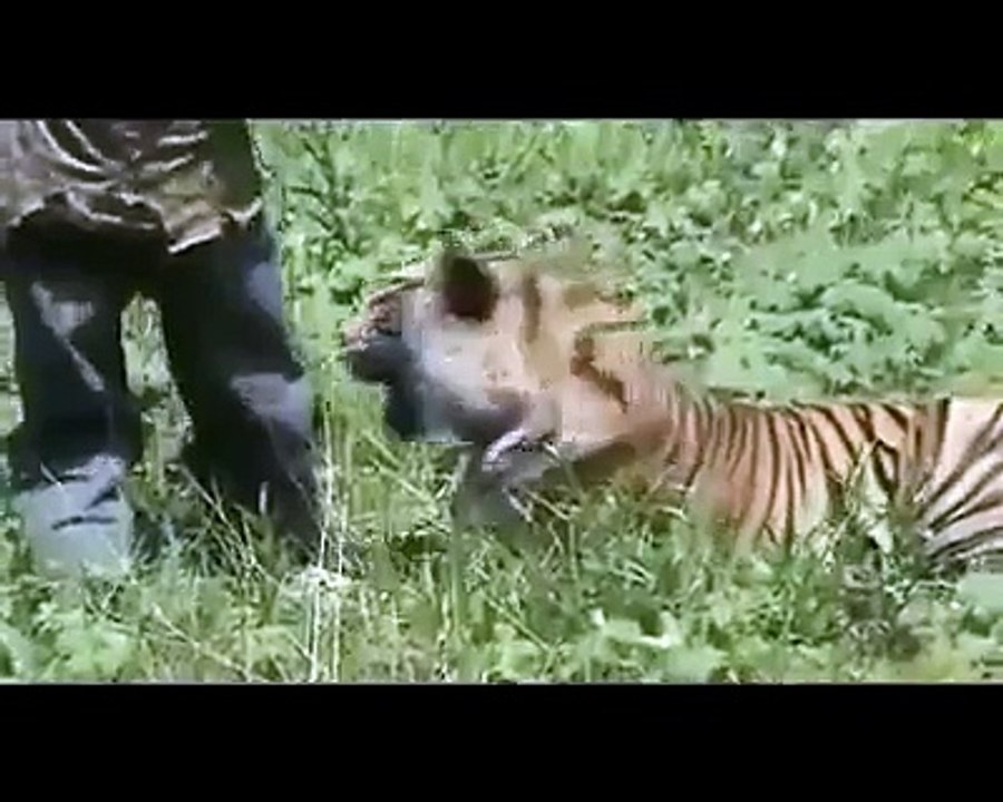 new nic video