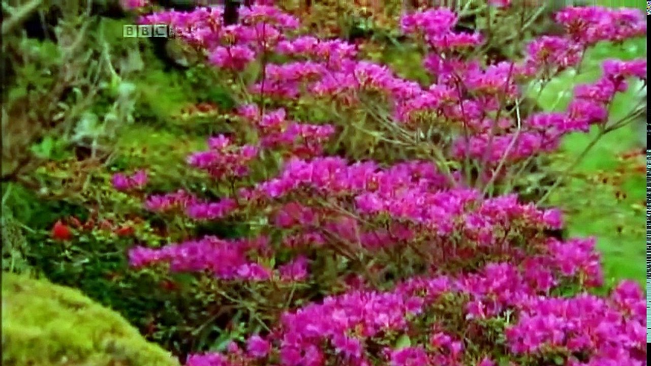 6 6 The Art of Cornwall