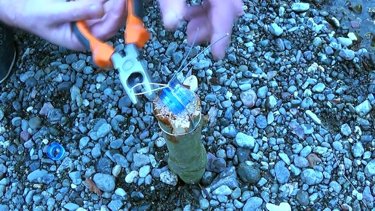 Bake Chicken on the River