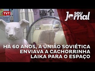 Há 60 anos, a União Soviética enviava a cachorrinha Laika para o espaço