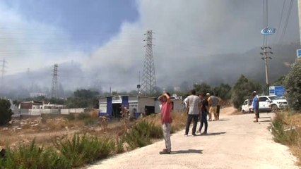 Yangın Sonrası Korkunç Manzara