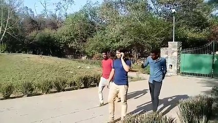 Most watch -EP5-Funny comedy videos 2018 -- Bindas fun -AB