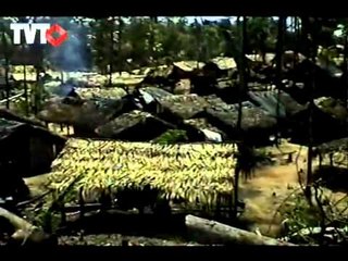 Carmem Foro fala sobre violência no campo - Rede TVT