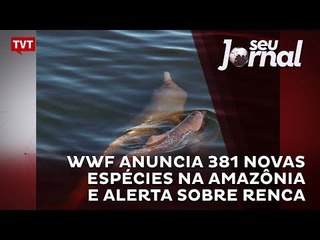 WWF anuncia 381 novas espécies na Amazônia e alerta sobre Renca