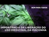 A importância da liberação do uso medicinal da maconha