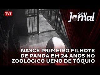 Nasce primeiro filhote de panda em 24 anos no Zoológico Ueno de Tóquio