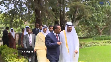 البرلمان الأوروبي يطالب الإمارات باحترام سيادة الصومال