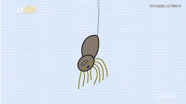 Spiders Can Apparently Fly Through The Air Using Electricity