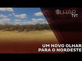 Um novo olhar para o nordeste
