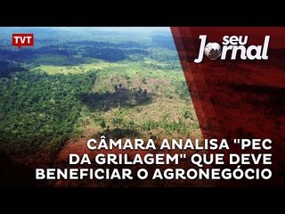 Câmara analisa "Pec da Grilagem" que deve beneficiar o agronegócio