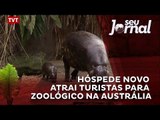 Hóspede novo atrai turistas para zoológico na Austrália