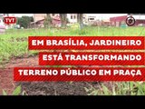 Em Brasília, jardineiro está transformando terreno público em praça
