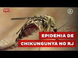 Pesquisadores alertam sobre possível epidemia de Chikungunya no RJ