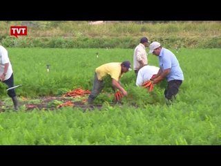 Reforma da previdência prejudica planos de trabalhador rural