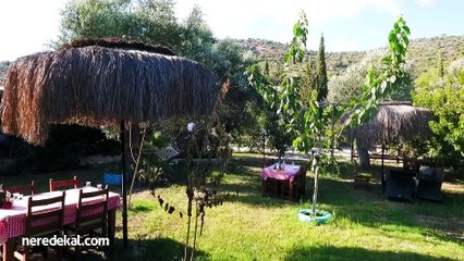 Sempati Ağaç Evler