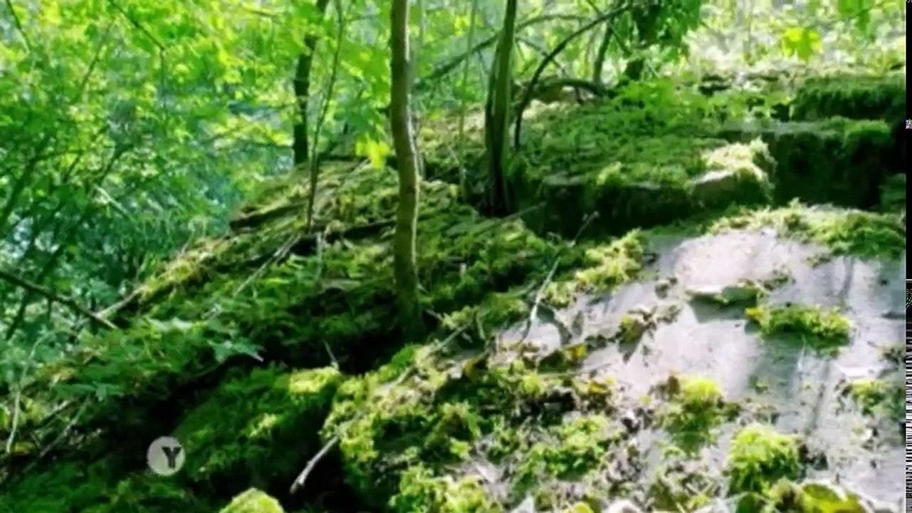 Nazi Megastructures S02 - Ep02 Hitler's Megaships - Part 01 HD Watch