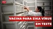 Nova vacina contra zika entra em fase de testes em humanos nos EUA