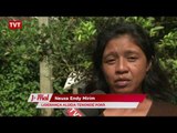 Índios guaranis conquistam demarcação de terra em São Paulo