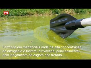 O que está acontecendo com a Represa Billings?