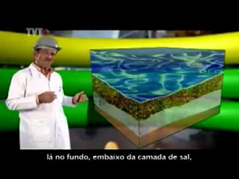 Estudantes de Cubatão são orientados a aproveitar as oportunidades criadas pelo pré-sal