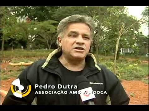 Moradores do bairro da Mooca, em São Paulo, tentam salvar uma das últimas áreas verdes da região